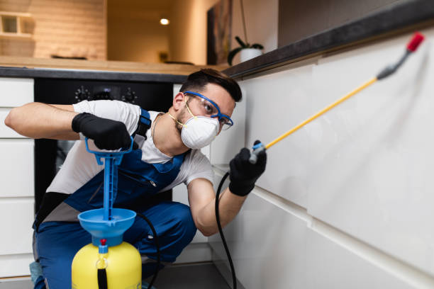 Best Pest Inspection Near Me  in Gravette, AR